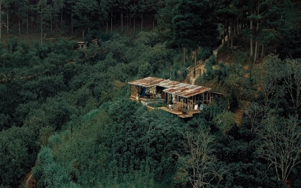 Cafe In The Forest, Đà Lạt